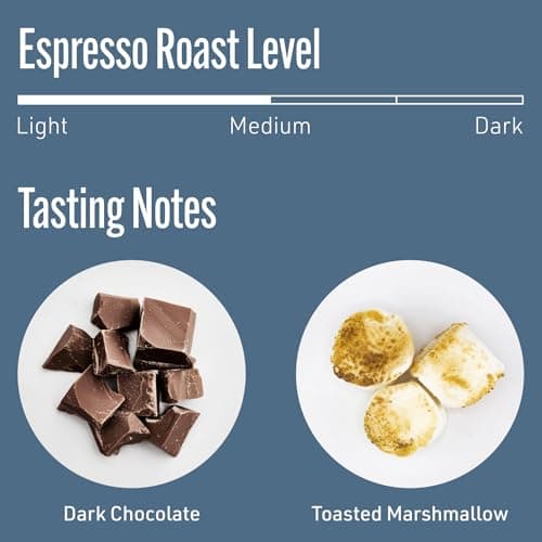 Intelligentsia Medium Roast Whole Bean Coffee - Black Cat Analog Espresso 12 Oz Bag